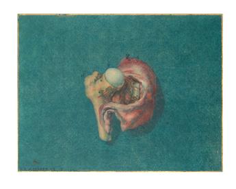 MEDICINE  (LADMIRAL, JAN.)  Ruysch, Frederick.  Icon membranae vasculosae ad infima acetabuli ossium innominatorum positae.  1738